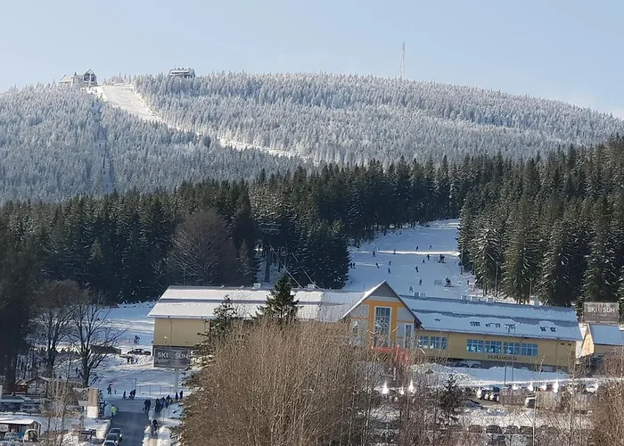 Vera Zakopianska 22 C M10